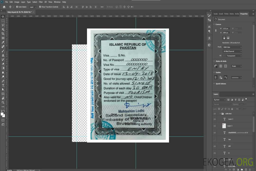 Visa d'entrée au PAKISTAN template